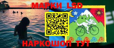 крисы Новозыбков