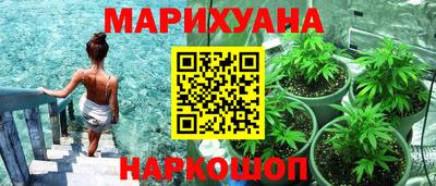 крисы Новозыбков