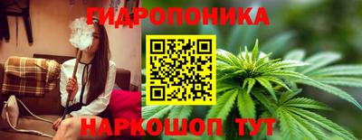 гидропоника Новодвинск