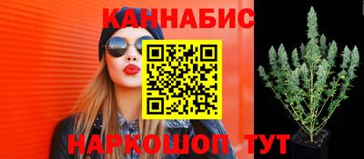 тгк Обь