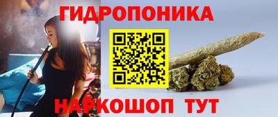 крисы Новозыбков