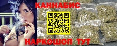 крисы Новозыбков