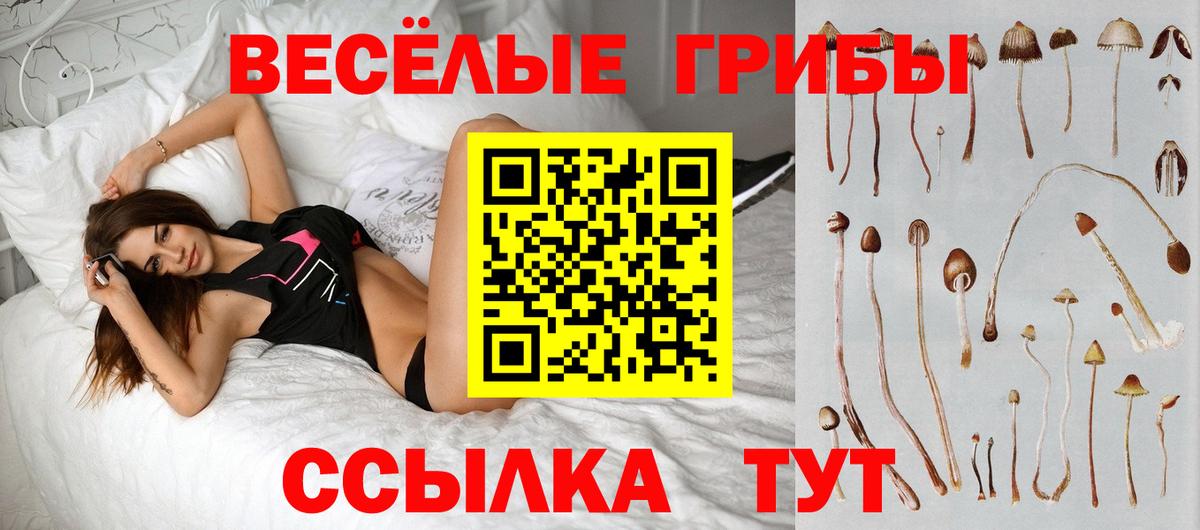 Псилоцибиновые грибы MAGIC MUSHROOMS Таганрог