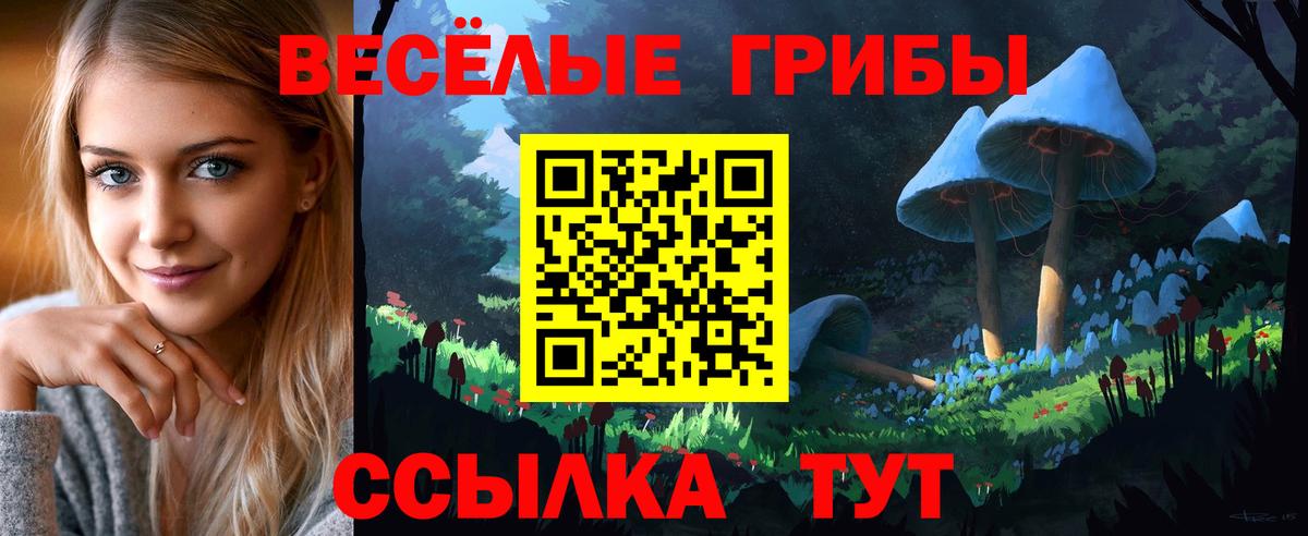 Галлюциногенные грибы GOLDEN TEACHER  Вход с VPN  Таганрог 